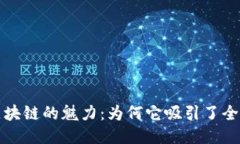 揭秘区块链的魅力：为何它吸引了全球
