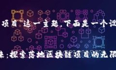 关于“落地区块链项目”这一主题，下面是一个