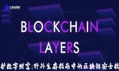 守护数字财富：野外生存指南中的区块链安全技