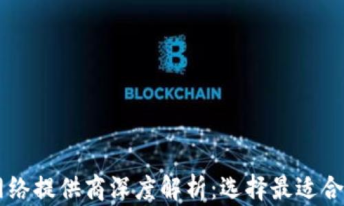 
区块链网络提供商深度解析：选择最适合你的平台