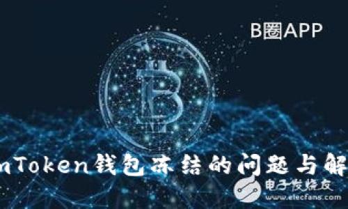 biasiimToken钱包冻结的问题与解决方案