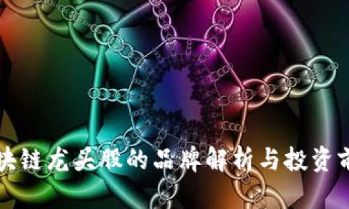 区块链龙头股的品牌解析与投资前景