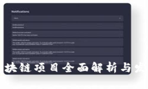 国内区块链项目全面解析与发展前景