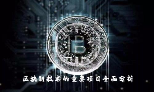 区块链技术的重要项目全面分析