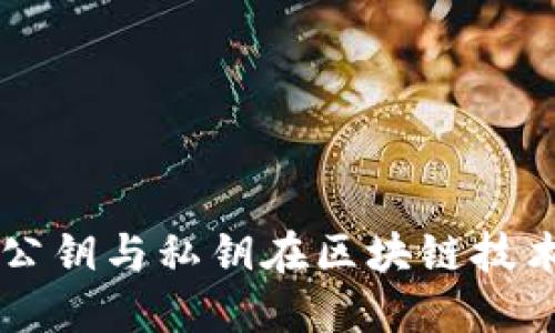 深入探讨公钥与私钥在区块链技术中的应用