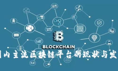 国内主流区块链平台的现状与发展