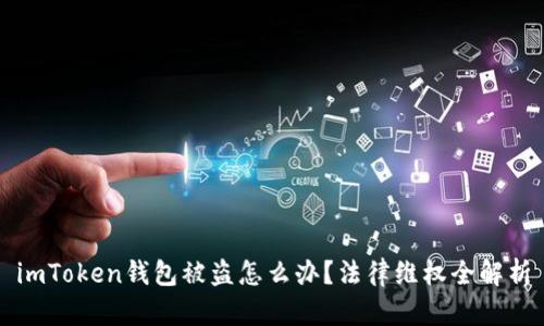 imToken钱包被盗怎么办？法律维权全解析