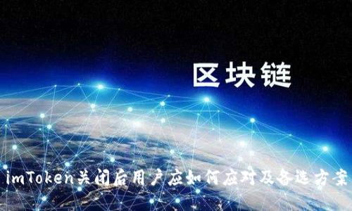 imToken关闭后用户应如何应对及备选方案