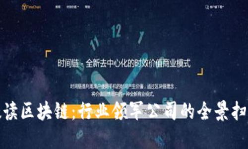 数读区块链：行业领军公司的全景扫描