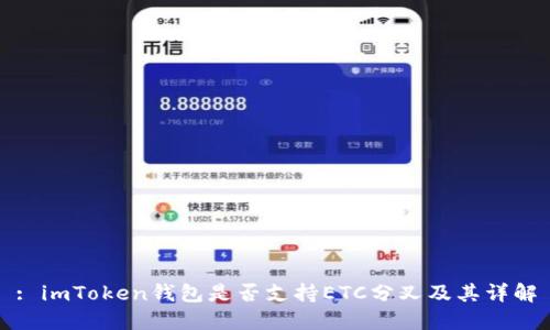: imToken钱包是否支持ETC分叉及其详解