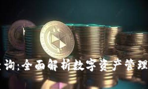 IM钱包查询：全面解析数字资产管理与安全性