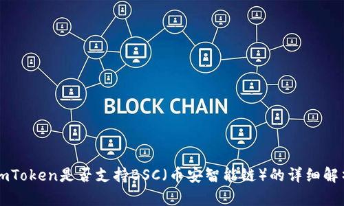 imToken是否支持BSC（币安智能链）的详细解析