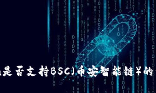 imToken是否支持BSC（币安智能链）的详细解析