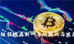  区块链领域在新一年的挑战与发展趋