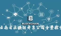 云南省区块链开票公司全景探索