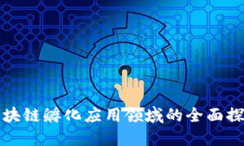 区块链孵化应用领域的全面探讨