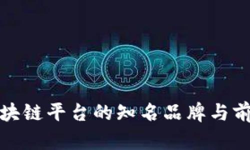 海南区块链平台的知名品牌与前景探讨