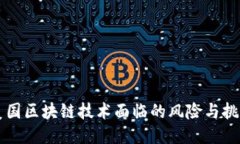 美国区块链技术面临的风险与挑战