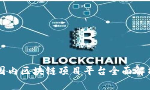国内区块链项目平台全面解析